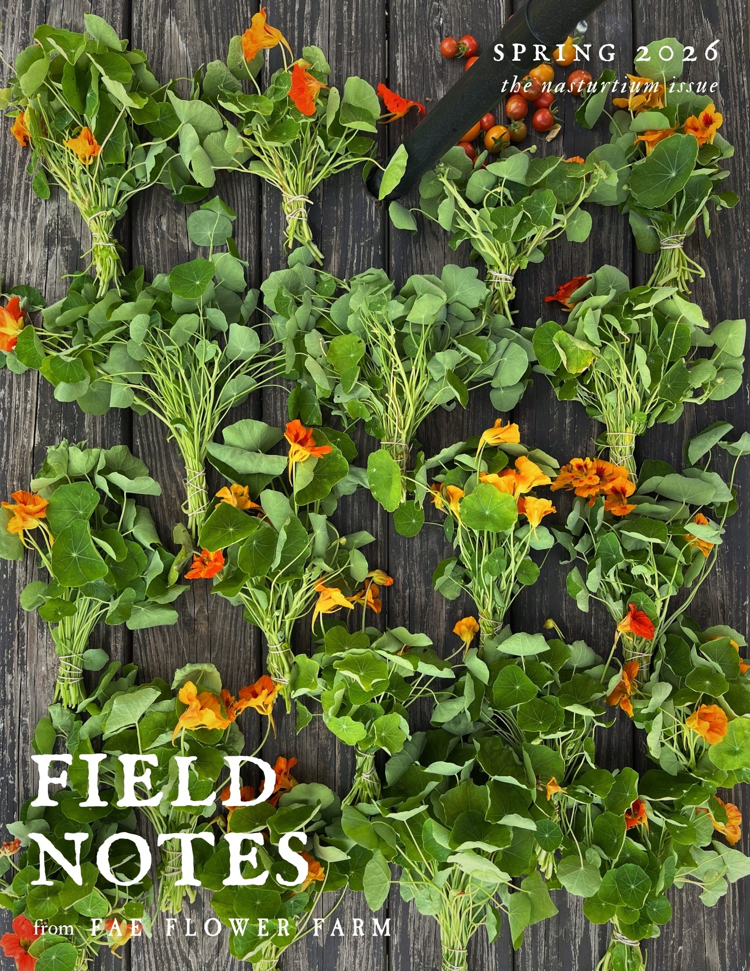 SPRING '26 | The Nasturtium Issue – Fae Flower Farm