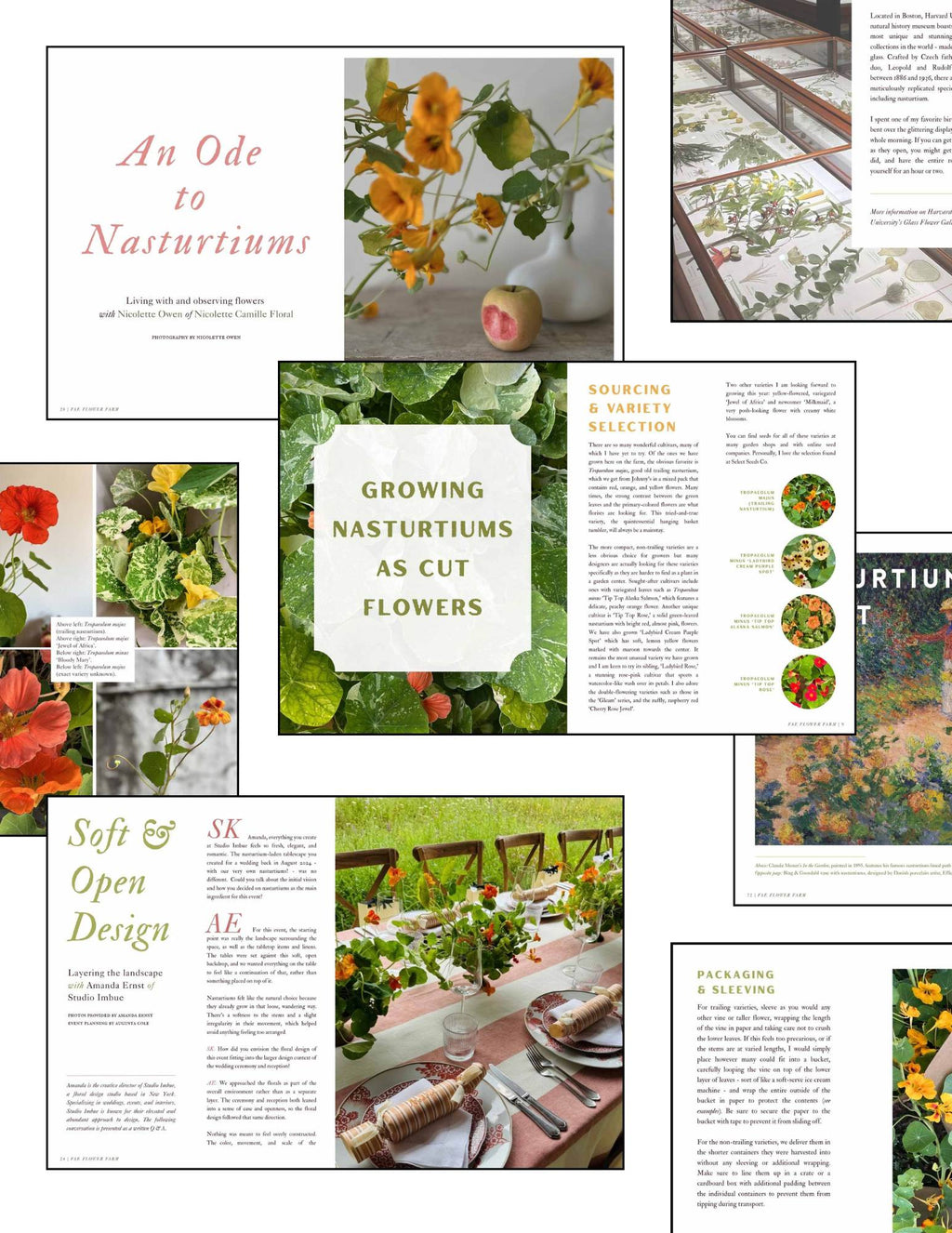 SPRING '26 | The Nasturtium Issue