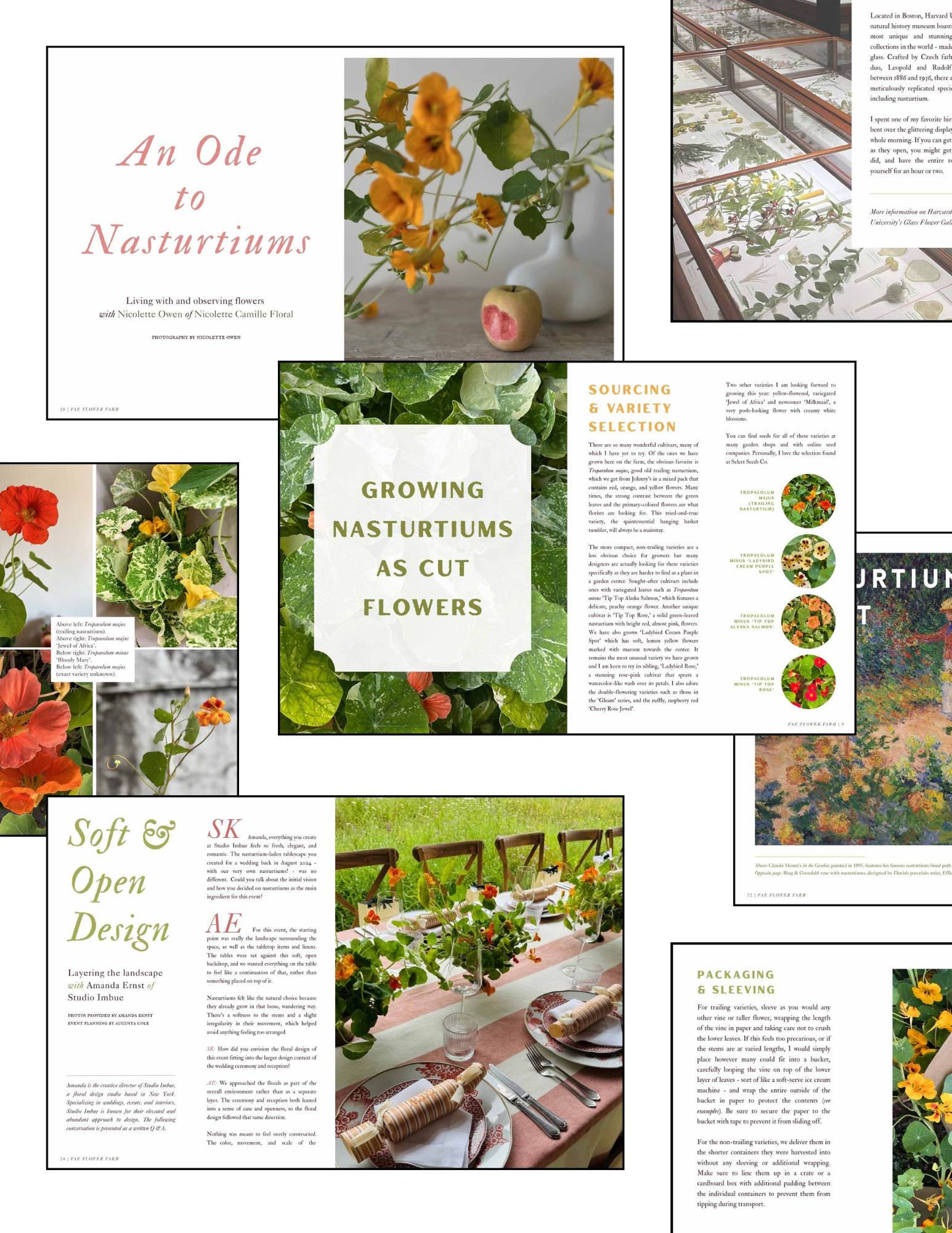 SPRING '26 | The Nasturtium Issue